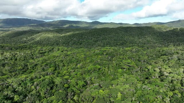 Flying over Yambaru &ndash; Japan&rsquo;s World Natural Heritage Treasure
