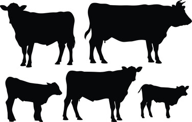 Silhouettes of cows and calves standing on white