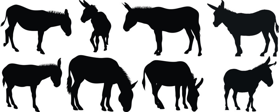 Collection of donkey silhouettes on a white background