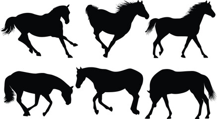 Horse silhouettes in various poses on white background