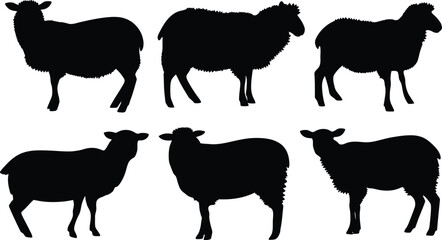 Silhouettes of sheep standing on a white background