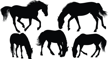 Silhouettes of horses in various positions grazing