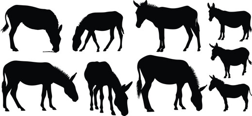Silhouette of several donkeys in various positions