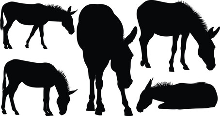 Silhouetted donkeys in various poses against white
