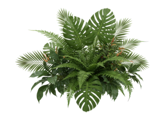 Lush tropical foliage arrangement