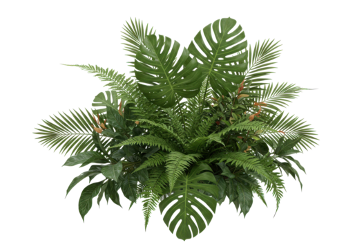 Lush tropical foliage arrangement