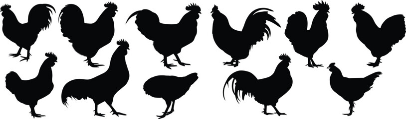 Silhouette illustration of various rooster shapes