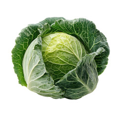 A vibrant, fresh cabbage, showcasing its tightly packed, verdant leaves and pale green heart against a clean white background.