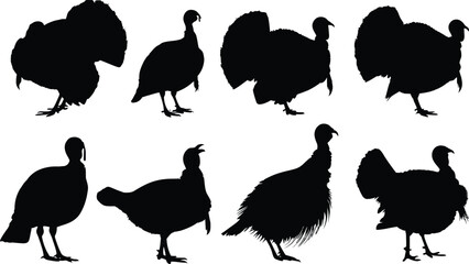 Silhouette illustration of various turkey poses