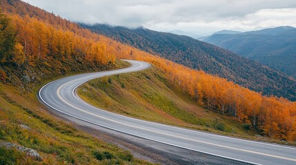 Scenic winding road surrounded by vibrant autumn foliage, peaceful natural setting.