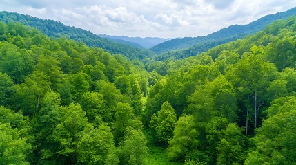 Lush Green Mountain Valley Landscape.