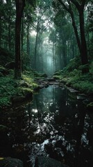 Fototapeta premium Misty forest creek reflections