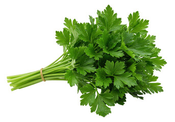 Fresh Parsley Bunch (1)