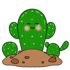 Cute Green cactus with flowers growing on the ground