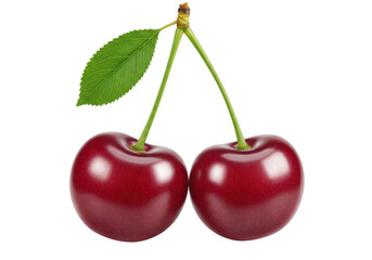 Two glossy red cherries on stems with leaves