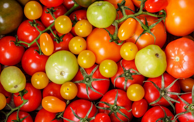 mix of fresh tomatoes as background, top view