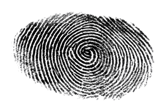 A unique fingerprint, a testament to individual identity, captured in stark black and white detail.