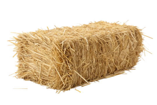 Bale of straw resting on a clean surface highlighting rural farming produce and agricultural practices