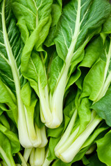 Obraz premium close-up view of a bunch of vibrant green chard leaves