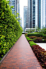 brick pathway between modern buildings with lush green hedges