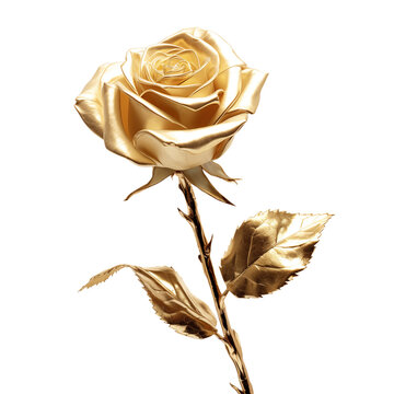 A detailed close up of a golden rose with leaves and stem on a black isolated background png