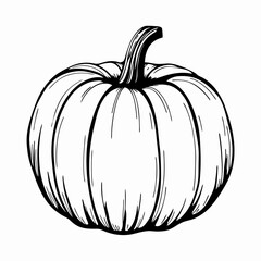 Illustration of a pumpkin in a detailed sketch style representing autumn harvest and Halloween celebrations.