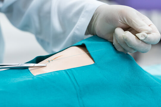 Doctor hand wear sterile gloves and surgery scissor stitching up wound after surgery.Plastic surgeon placing sutures after plastic surgery in operating room.Nurse teaches the technique of suturing.