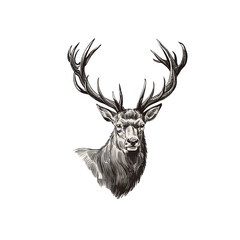 A silhouettes vector illustration of a deer head isolated on white background 