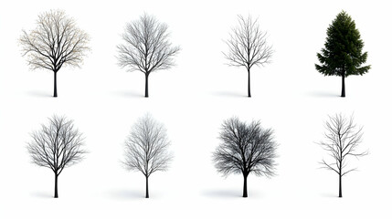 Obraz premium Collection of Stylized Trees in Various Seasons