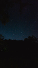 Starry Night Sky Over Forest