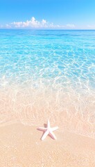 Beach Starfish Sunny Day