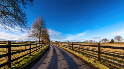 Obraz premium Serene country road lined with wooden fences under a clear blue sky at sunset