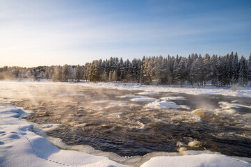 Fototapeta premium Winter Christmas Landscape with snowy Trees