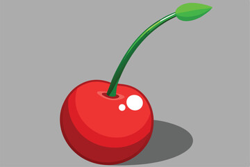 Vector shiny bright red cherries Citrus berries provide healthy vitamins.