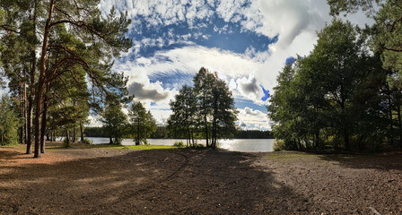 green pines landscape with forest near lake under white clouds sky