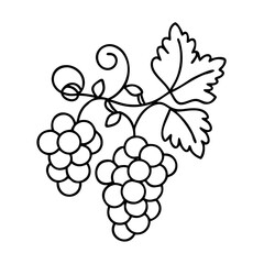 grapevine icon, grapevine line art - simple line art of grapevine, perfect for grapevine logos and icons