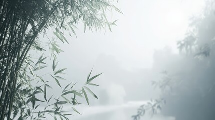 Serene Foggy Bamboo Forest Landscape