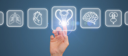 A digital interface showing a reproductive system checkup with a focus on male health and fertility. The finger selects options on a holographic screen, urology, AI diagnostics, healthcare innovation