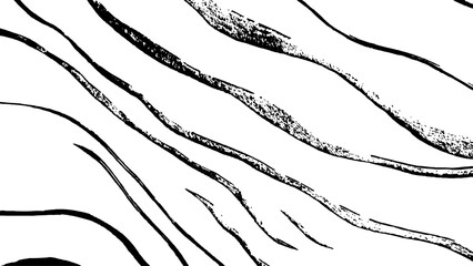 Black flowing wave lines on white transparent background. Vector black line art pattern drawing white background. Black lines create a flowing wave pattern on a white background.