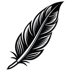 Fototapeta premium Elegant Black and White Feather Illustrations, Hand-Drawn Feather Designs in Black and White, Stylized Feather Clipart Collection.