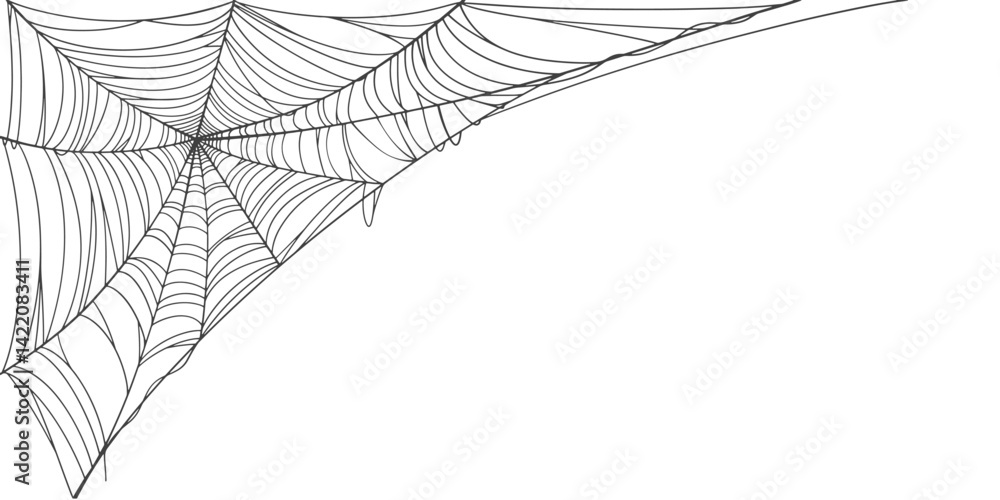 Sticker spider web line art vector frame