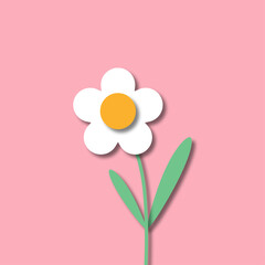 daisy flower vector illustration
