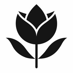 black and white flower