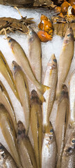 Fresh fish in the fresh market on ice. fish caught from fishing.