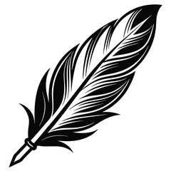 Obraz premium Elegant Black and White Feather Illustrations, Hand-Drawn Feather Designs in Black and White, Stylized Feather Clipart Collection.