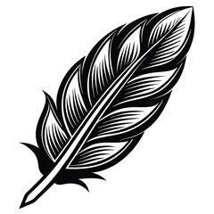 Obraz premium Elegant Black and White Feather Illustrations, Hand-Drawn Feather Designs in Black and White, Stylized Feather Clipart Collection.