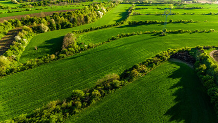Fototapeta premium drone flyover of green moravian hills and countryside..