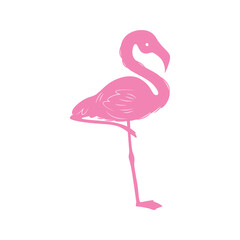 Flamingo silhouette icon. Exotic bird