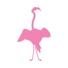 Flamingo silhouette icon. Exotic bird