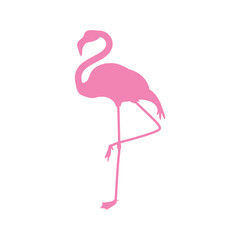 Flamingo silhouette icon. Exotic bird